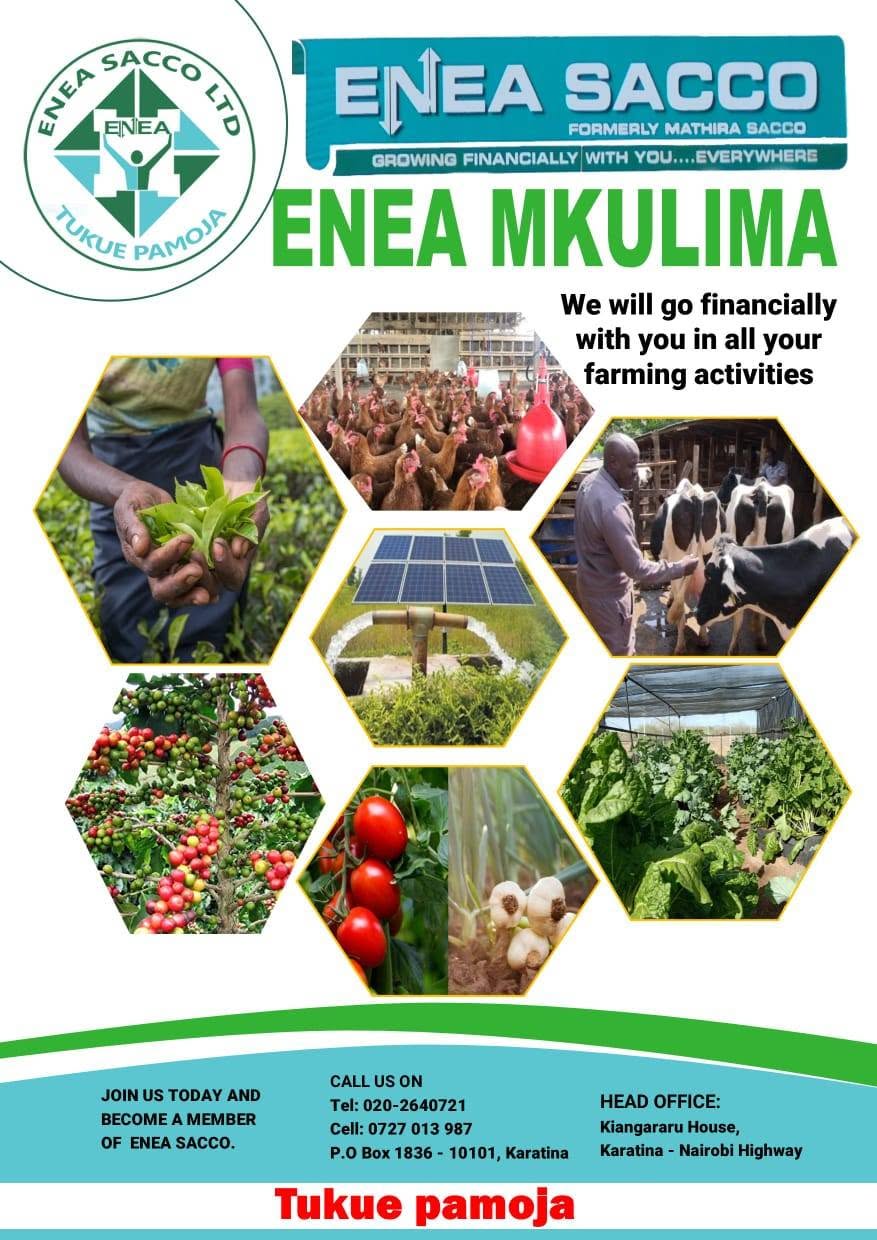 ENEA Mkulima agricultural finance poster showing farming activities and produce